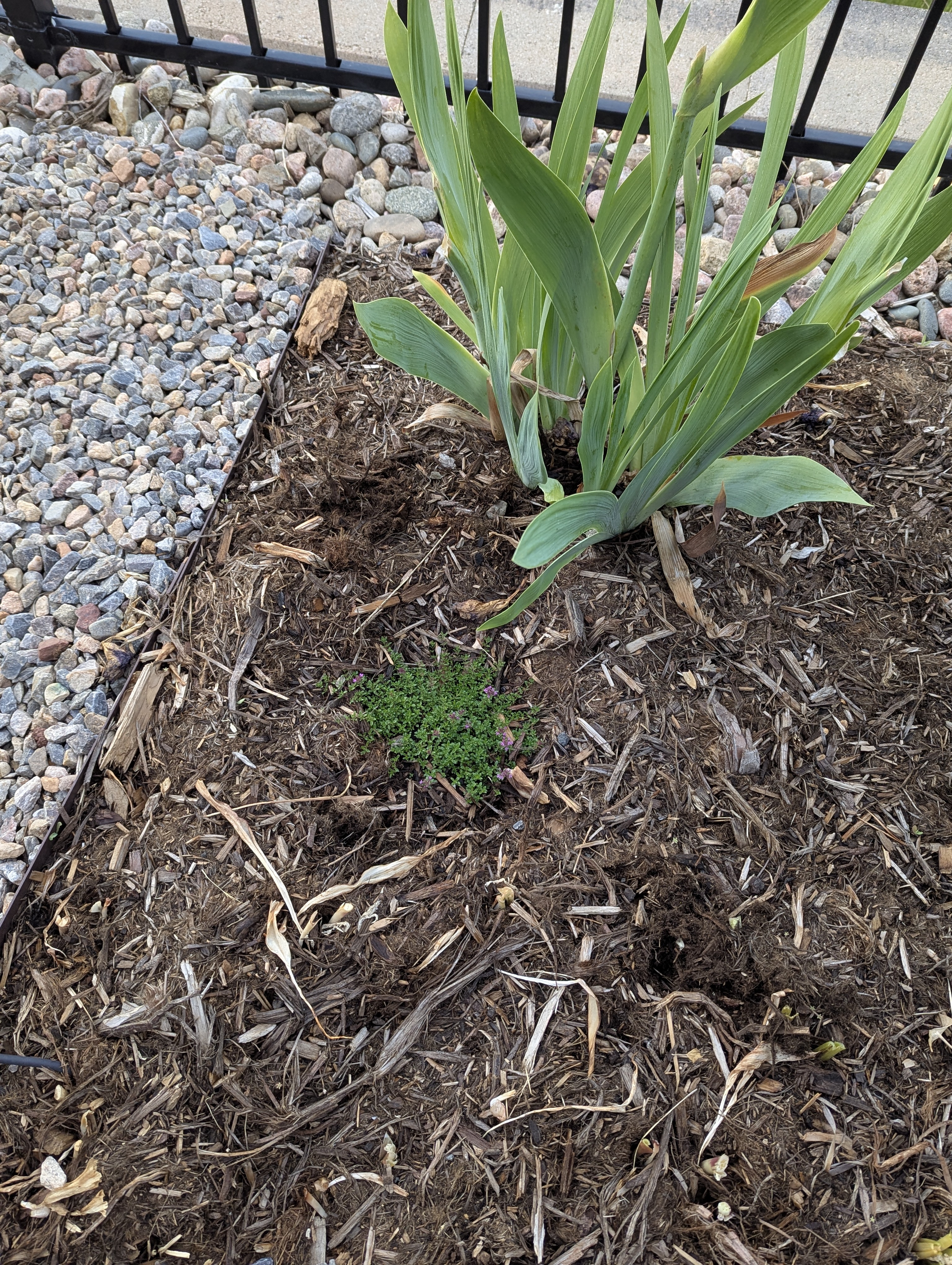 Garden, Morrison, Colorado